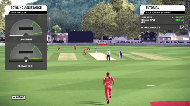 Do- Bradman-Cricket-14-PC-Download